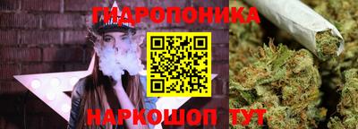 мдпв Ставрополь