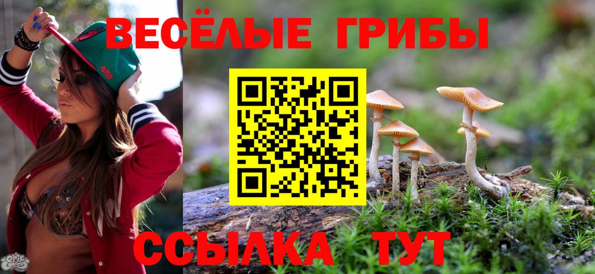 Галлюциногенные грибы Magic Shrooms  Псилоцибиновые грибы прущие грибы  Вход с VPN  Санкт-Петербург 