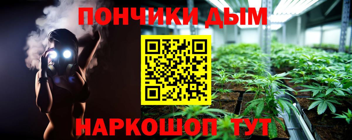 Бошки Шишки Bruce Banner  Вход с VPN  МАРИХУАНА Amnesia  Санкт-Петербург  Марихуана тримм 